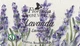 Мыло натуральное "Лаванда" - Florinda Sapone Vegetale Lavanda 50g (375205-31158625) - изображение 3