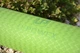 Килимок для йоги та фітнесу U-POWEX TPE Yoga mat Green/Black (183х61х0.6) - изображение 10