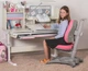Детский стол Mealux Winnipeg Multicolor MG + G (BD-630 MG + G Multicolor) - изображение 2