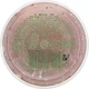 Фруктовая джем-маска для всех типов кожи - MyIDi Fruit АНА Jam-Mask 50ml (971520-23181) - изображение 2