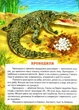 Энциклопедия для Почемучек Книга 1 Мир вокруг тебя - изображение 6