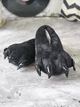 Тапочки Кигуруми Лапы Когти My Kigu Домашние Черный Мужские Мягкие Плюшевые 39-45 (3049411) - изображение 1