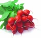 Насіння редиски Ронділ ранній сорт 35-40 днів 10 г LedaAgro - изображение 2