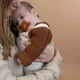 Пустушка Difrax Natural Uni, 0-6 міс (UN123 Cinnamon) - зображення 2