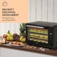 Дегидратор KLARSTEIN Mega Jerky 650 Вт 35-80°C (10034439) - изображение 2