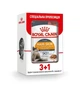 Влажный корм Royal Canin FCN HAIR SKIN CARE CIG для кошек из домашней птицы 3+1 по 85 г - изображение 1