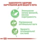 Вологий корм Royal Canin Digest Sensitive Gravy pouch для котів із чутливим травленням із домашньою птицею 3+1 до 85 г - зображення 4