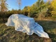 Маскировочная сетка белая 6х8м для автомобиля, пикапа, внедорожника и техники "Зима №1" - изображение 6