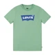 Футболка Levi`s 9E8157-ECV 14р. 164 см - изображение 1
