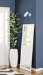 Бра Candellux 91-01603 Colly - изображение 3