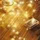 LED гирлянда новогодняя 100LED 10м цвет Теплый Белый режимы статика и мерцание от батареек - изображение 4