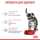 Сухий корм для котят Royal Canin Kitten Sterilised 2 кг + 400 г - свійський птах - зображення 4
