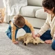 Іграшка м’яка пес GOSIG GOLDEN, 001.327.98 IKEA (Ікея) - изображение 8