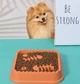 Миска WahoPet slow feeder для замедленного кормления с рыбками пластик 21.5 х 21.5 см Оранжевая (2700000023693) - изображение 2