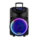 Колонка акrумуляторная с радиомикрофонами караоке TMG ORIGINAL Temeisheng SK-015 (Bluetooth/USB/SD) - изображение 1