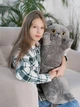 Мягкая игрушка обнимашка антистресс Британский Кот батон 90 см My Kigu Серый (9046) - изображение 9