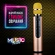 Караоке микрофон Losso M6 Premium Duet золотой со стерео звуком - изображение 7