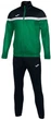 Мужской спортивный костюм Joma DANUBIO TRACKSUIT Черный Зеленый S (102746.451) - изображение 9