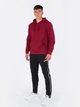 Худи Joma Montana Бордовый XL (102108.671) - изображение 14