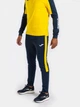 Спортивные брюки Joma ECO CHAMPIONSHIP Темно-синий, Желтый M (102752.339) - изображение 10