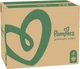 Подгузники Pampers Premium Care Размер 4 (9-14 кг) 168 шт (8001090379511) - изображение 3