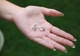 Срібні сережки з фіанітами (АРТ. № 6173W) Dadiverin Jewelry - изображение 5