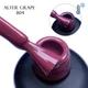 Гель-лак Gloss Company Termo Alter Grape 804 11 мл - зображення 2