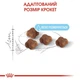 Сухий корм для кошенят Royal Canin Mother&Babycat 1.2 кг - зображення 3