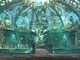 Игра Empress Of The Deep 2: Song Of The Blue Whale для ПК (Ключ активации Steam) - изображение 3