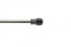 Амортизаторы капота / багажника LESJOFORS 8192534 Toyota Avensis 6895005050, 6896005050 - изображение 4