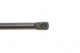 Амортизатори капота/багажника LESJOFORS 8095802 Volvo V70, S80, XC70, S60 9154605 - зображення 4