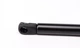 Амортизатори капота/багажника LESJOFORS 8004225 Audi Q7 4L0823359 - зображення 3