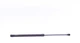Амортизатори капота/багажника LESJOFORS 8195033 Volkswagen Golf, Bora, Passat 1J6827550, 1J6827550C, 3B9827550 - зображення 5