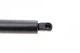 Амортизатори капота/багажника LESJOFORS 8195025 Volkswagen Transporter 701829331Q, 7D0829331D, 701829105E - зображення 5