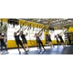 Петли Trx Fitness Strap Training Suspension System (функциональный тренажер) - изображение 4