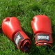 Перчатки боксерские PowerPlay 3004 10 унций Red (PP_3004_10oz_Red) - изображение 9