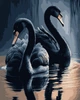 Картина по номерам Artissimo Черные лебеди PN0745 40х50 см - изображение 1