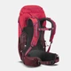 Рюкзак MH500 для гірських походів Quechua 20 л L - изображение 5