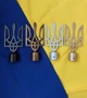 Золота металева навершня в формі Тризуба, верхівка сталева на стяг України, верхівка на флагшток, розмір 15х7.5 см - зображення 3