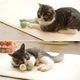 Мячик для котов Cheerble Ice Cream Ball C0419-C (Зеленый) - изображение 3