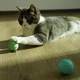 Мячик для котов Cheerble Ice Cream Ball C0419-C (Зеленый) - изображение 4