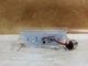Плафон подсветки номера Опель (Opel) Астра G 1998-2004 LED подсветка номерного знака - изображение 2