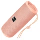 Портативная колонка HOCO HC16 vocal sports BT speaker IPX4 BT5.3 AUX/FM/USB/TF Розовый - изображение 1