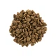 Karma sucha dla dorosłych kotów wszystkich ras Brit Care Cat Grain-Free Adult Indyk i kurczak 2 kg (8595602540822) - obraz 3