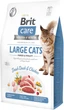 Сухой корм для кошек крупных пород Brit Care Cat GF Large cats Power & Vitality с уткой и курицей 2 кг (8595602540914) - изображение 1