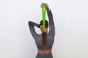 Эспандер-ленточный PowerPlay 4114 Medium Green (PP_4114_Green_Light) - изображение 10