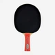 Набор для настольного тенниса Donic Waldner 600 Gift Set - изображение 5