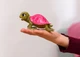 Кришталева черепаха Schleich 70759 - изображение 2
