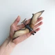 Динозавр Птеранодон / Pteranodon Papo 55006 - изображение 2