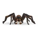 Араґоґ павук Schleich 13987 - изображение 1